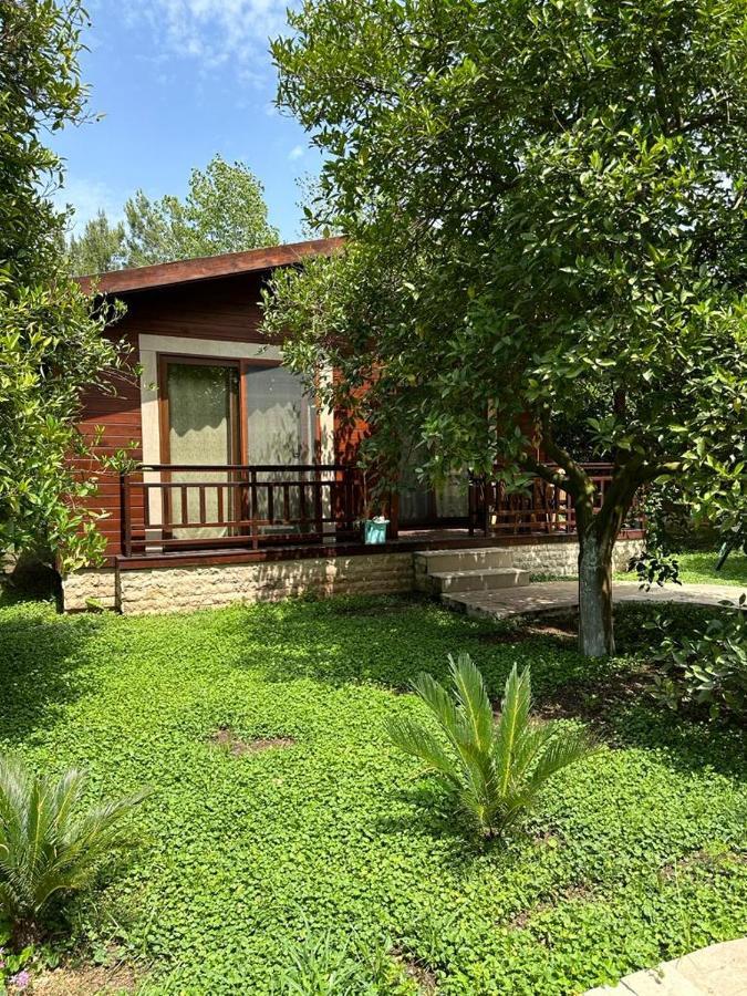 Cirali Villas 2 Exterior photo